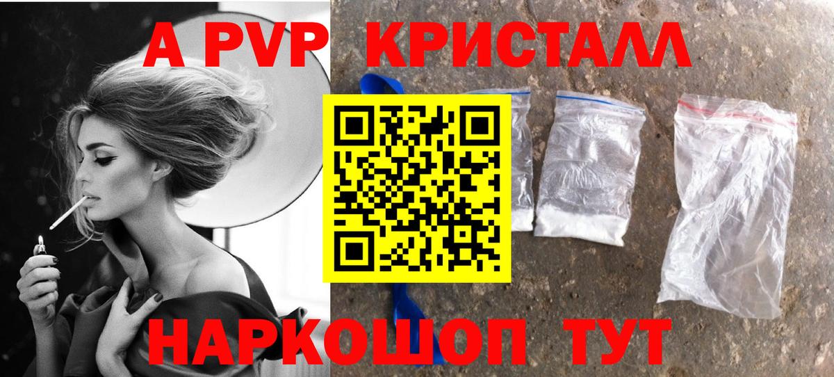 Альфа ПВП СК Новодвинск