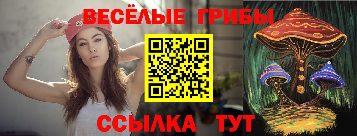 Галлюциногенные грибы прущие грибы  Вход с VPN  Новодвинск  Галлюциногенные грибы GOLDEN TEACHER 